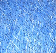Barbara Weir Grass Seeds 600mm x 600mm Acrylic on Linen ASAABW1240